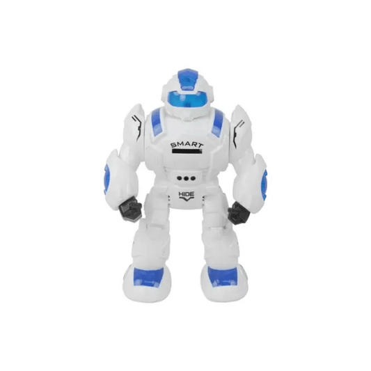 RC Robot