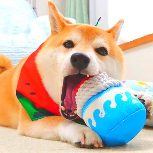 Bite-Resistant Teething Knot Toy for Dogs & Cats to Relieve Boredom